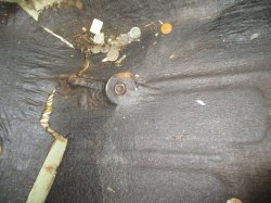 140609 67 Ford Fairlane.JPG